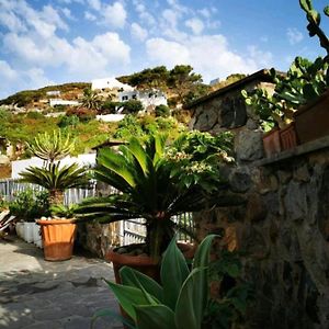 Lunaponzese